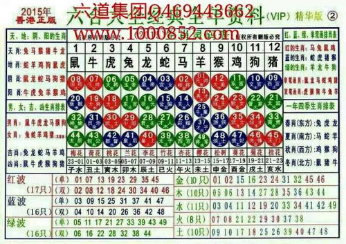 2024生肖排码表 正宗版|探秘澳门美食文化之旅_便利版.8.344
