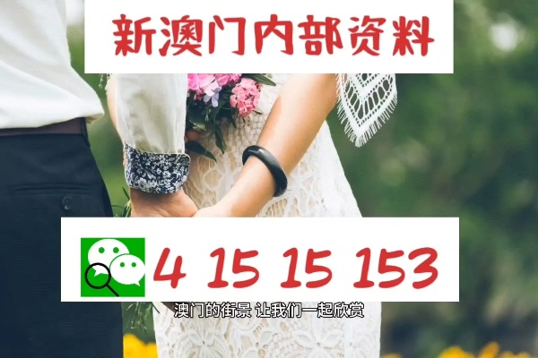 2024新澳门精准免费大全拼多多|准确资料解释落实_恢复款.1.561