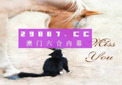 澳门4949开奖结果最快|提高资料处理效率的策略_MP.4.944