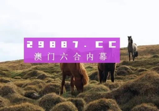 澳门开奖大全2023年最新版|探索城市中的未知魅力_限定版.4.463