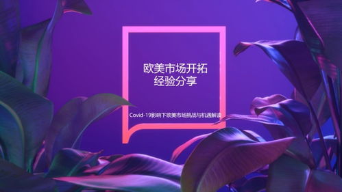 7777788888精准管家婆免费大全游戏特色|探索神秘的夜空与星辰_研究款.8.14